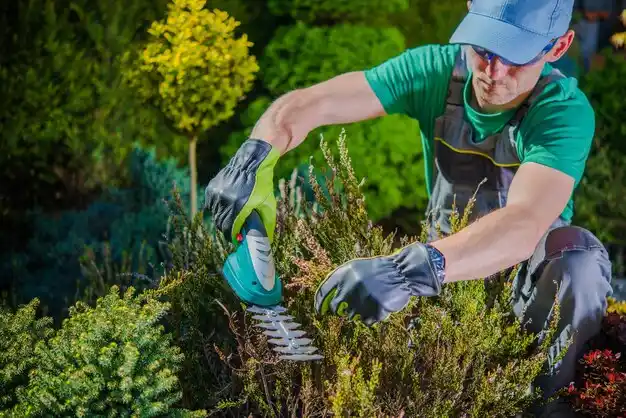 landscaping services Tiffin